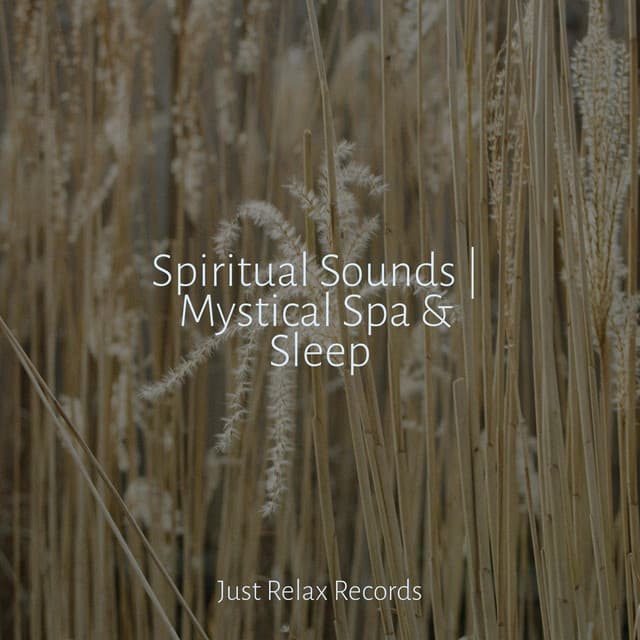 Spiritual Sounds | Mystical Spa & Sleep - Rockabye Lullaby