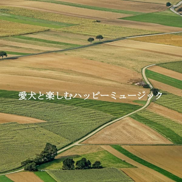 愛犬と楽しむハッピーミュージック - Calming Jazz Lounge