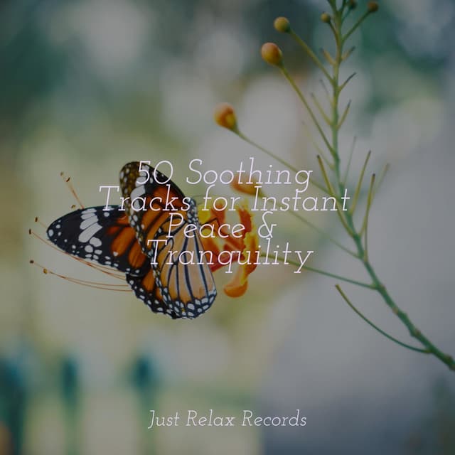 50 Soothing Tracks for Instant Peace & Tranquility - Sonido Del Bosque y Naturaleza