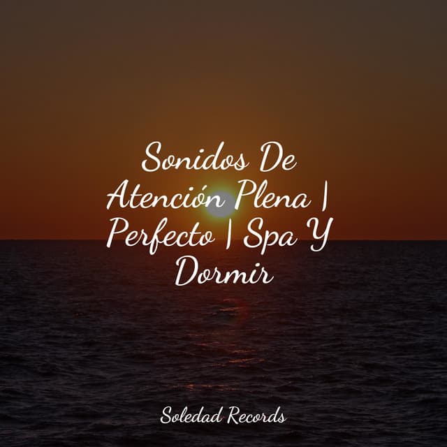 Sonidos De Atención Plena | Perfecto | Spa Y Dormir - Sueño Lucido
