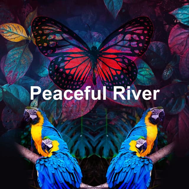 Peaceful River - Nature and Rain