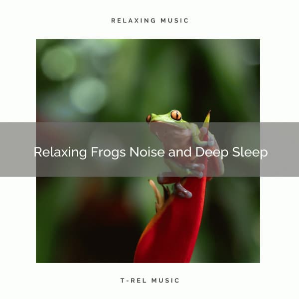 2020 Best: Relaxing Frogs Noise and Deep Sleep - JBE Nature Sounds