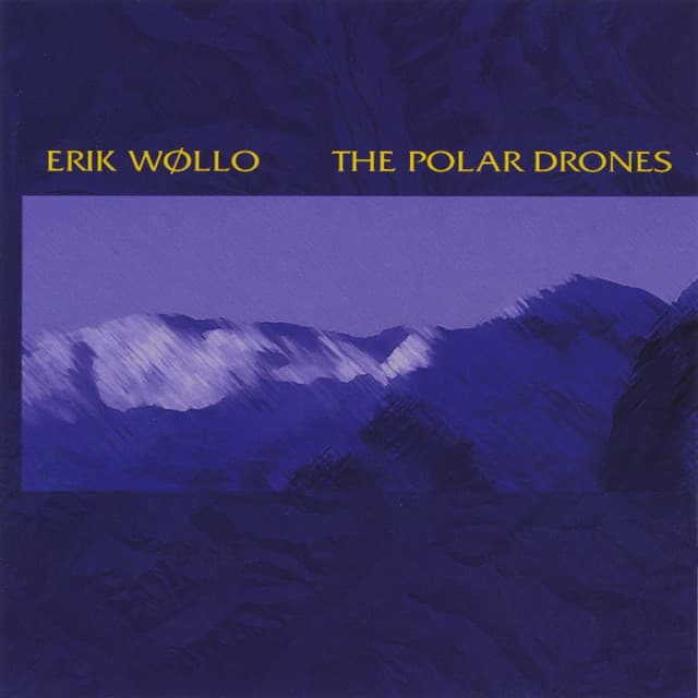 Polar Drones - Erik Wøllo