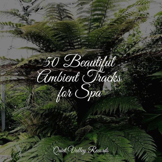 50 Beautiful Ambient Tracks for Spa - Sounds Of Nature: Thunderstorm