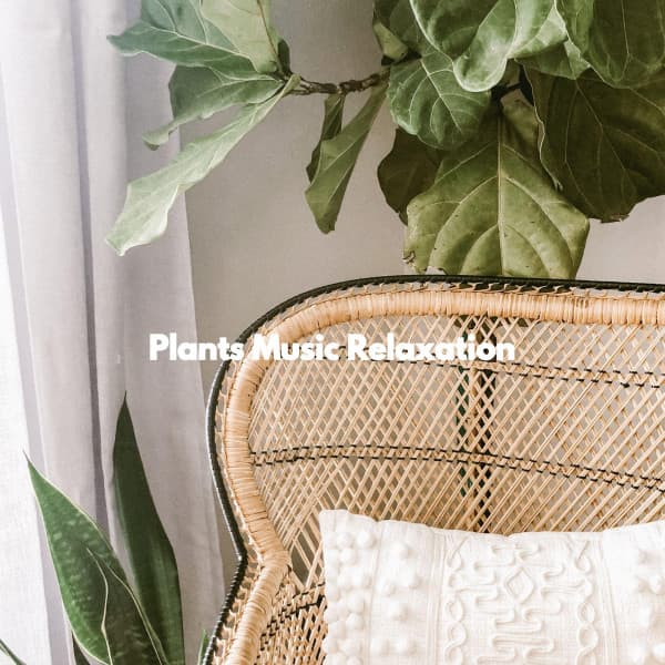 Plants Music Relaxation - Jazz Lounge Cafe