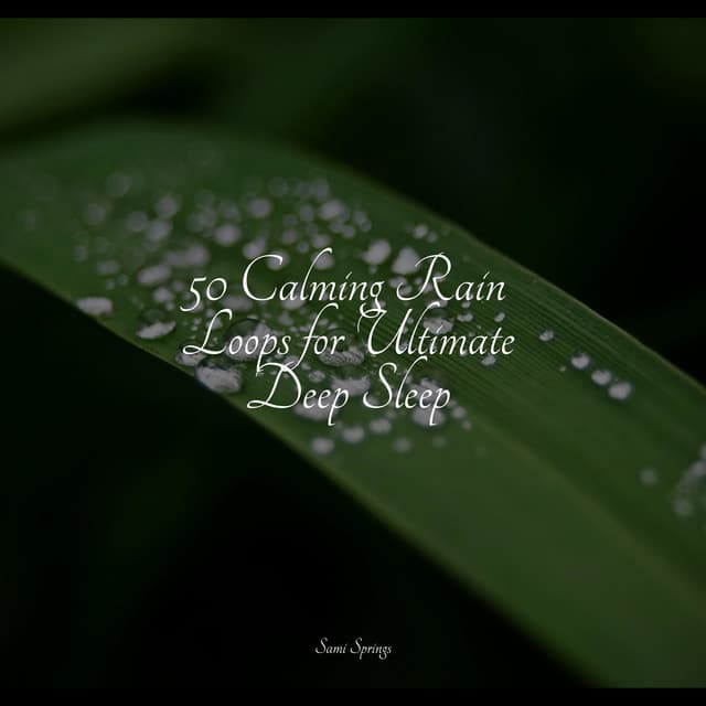50 Calming Rain Loops for Ultimate Deep Sleep - Regen