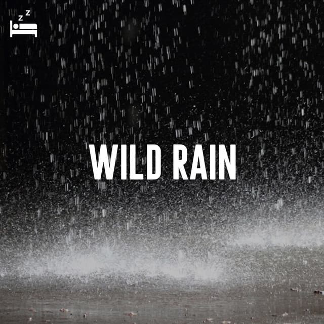 Wild Rain - Rain Sounds Lab