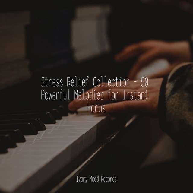 Stress Relief Collection - 50 Powerful Melodies for Instant Focus - Piano for Studying