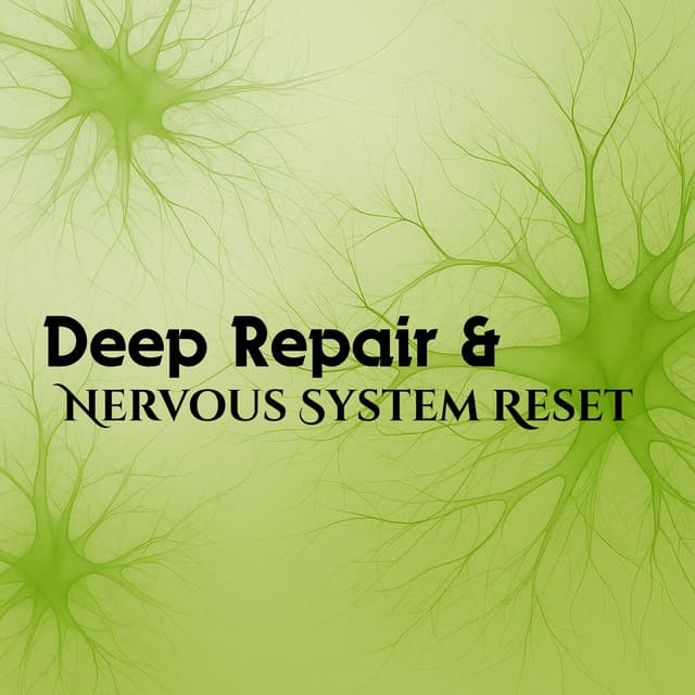 Deep Repair & Nervous System Reset - Lucas Deltaz