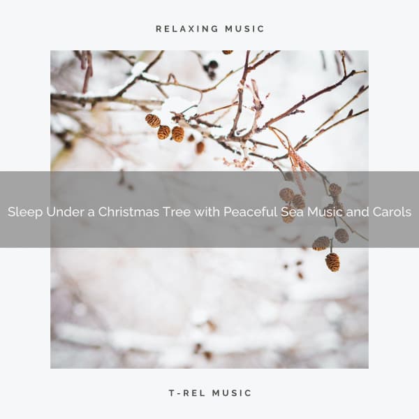 Sleep Under a Christmas Tree with Peaceful Sea Music and Carols - Ocean Makers