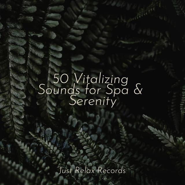 50 Vitalizing Sounds for Spa & Serenity - Relaxamento
