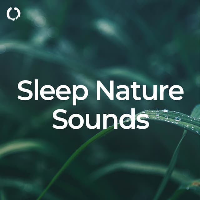 Sleep Nature Sounds - The Nature Soundscapes