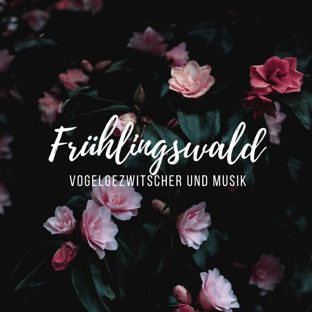 Frühlingswald - Spaziergang im Frühlingswald, Vogelgezwitscher und Musik zur Entspannung - Dog Whisper