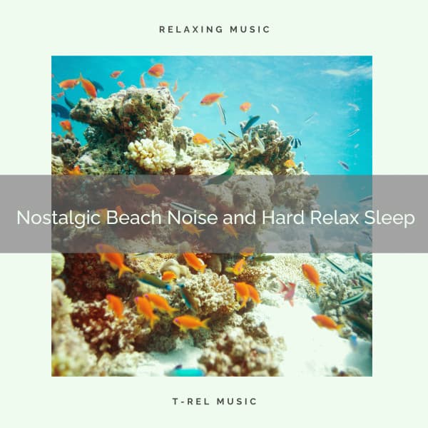 2020 Best: Nostalgic Beach Noise and Hard Relax Sleep - Ocean Makers
