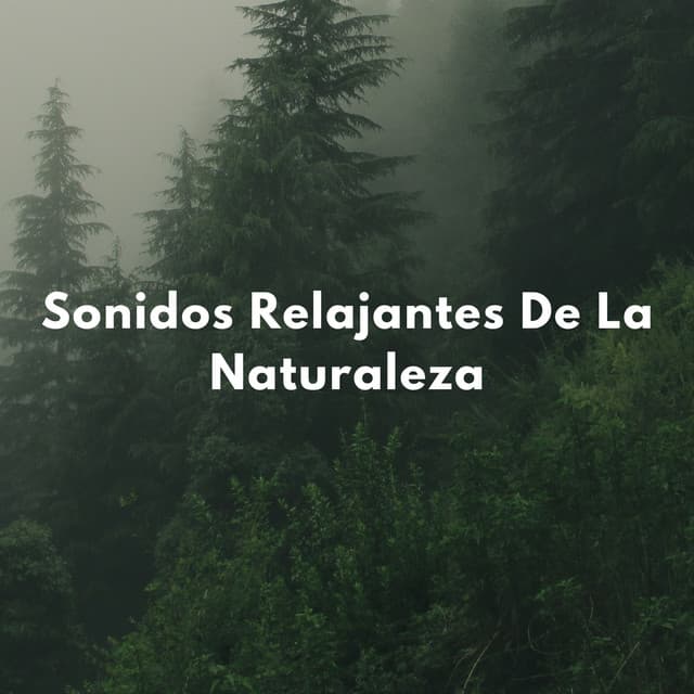 Sonidos Relajantes De La Naturaleza - Naturaleza Ruido