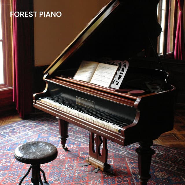 Forest Piano - Piano Jazz Calming Music Academy