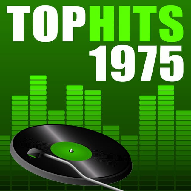 Top Hits 1975 - The Seventies