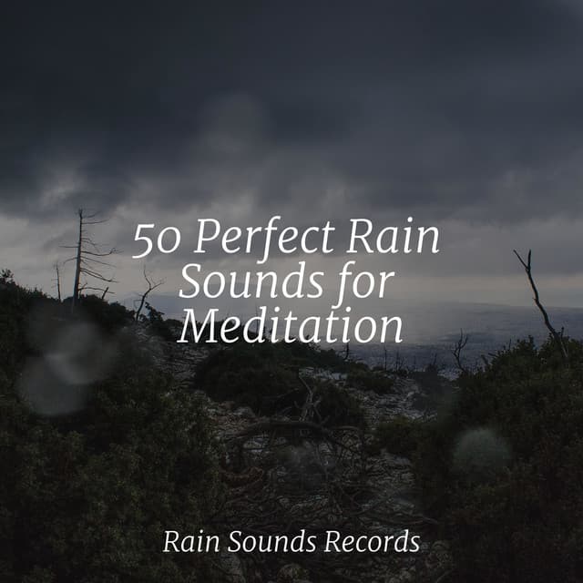 50 Perfect Rain Sounds for Meditation - Canción de Cuna