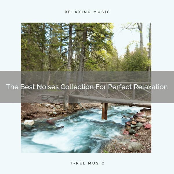The Best Noises Collection For Perfect Relaxation - Brown Noise Therapy / Baby White Noise