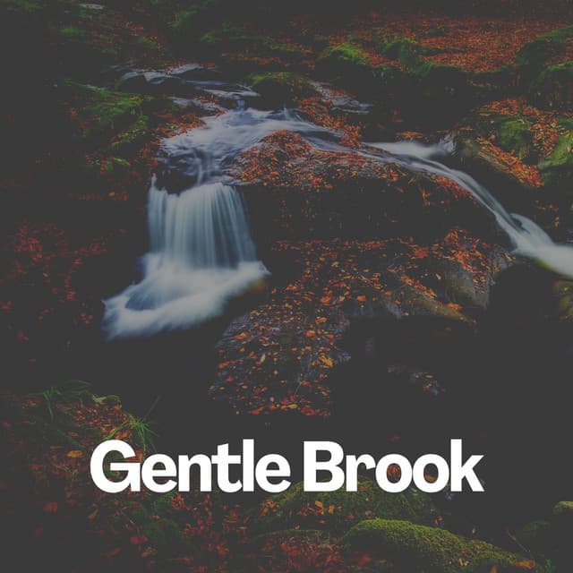 Gentle Brook - Nature Sound Collection