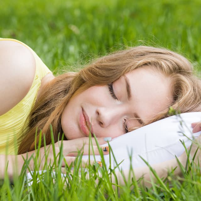 Birds Melodic Charm: Nature's Soothing Lullaby for Sleep - Calm Singing Birds Zone