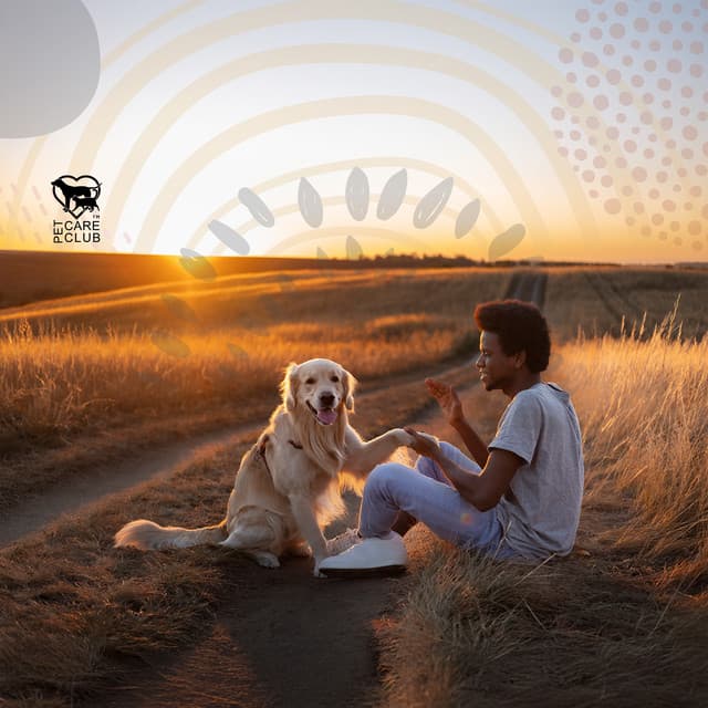 Celebrating with My Family: African Atmosphere, Sharing, Community, Kinara - Pet Care Club