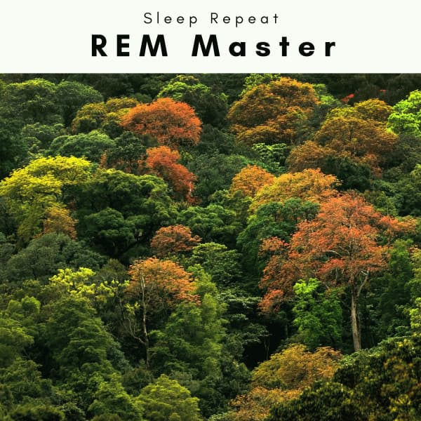 4 Dream: REM Master - Sleep Repeat