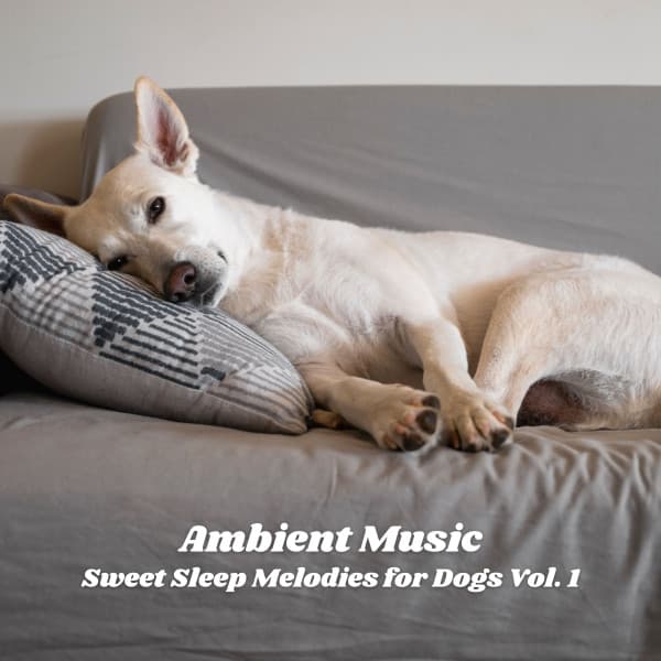 Ambient Music: Sweet Sleep Melodies for Dogs Vol. 1 - Sleeping Music For Dogs