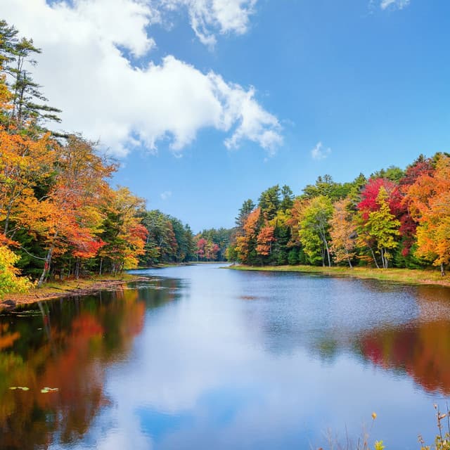 Serenity Music for Total Relaxation and Peacefulness - Headache Migrane Relief