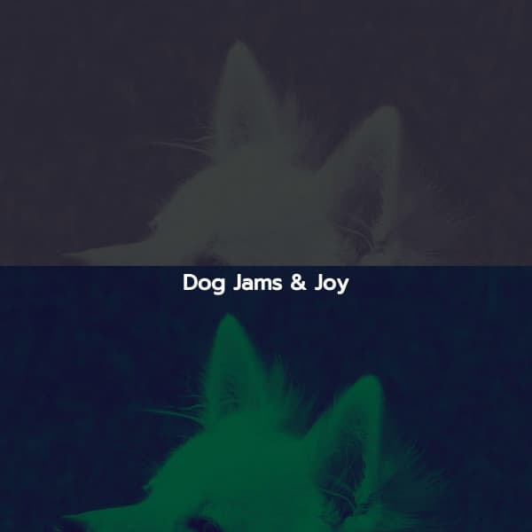 Dog Jams & Joy - After Work Chill Out