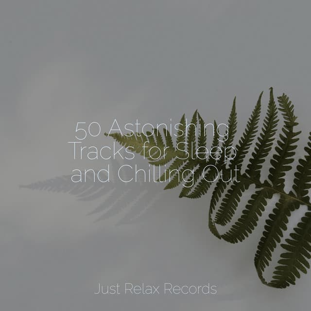 50 Astonishing Tracks for Sleep and Chilling Out - Reiki Tribe
