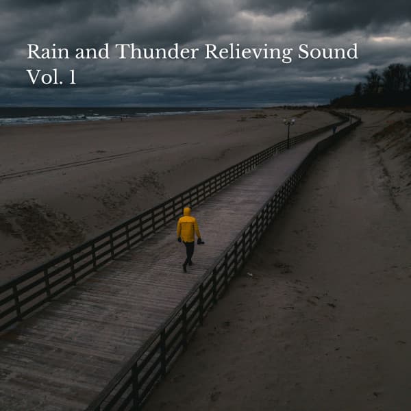 Rain and Thunder Relieving Sound Vol. 1 - Recorder Rain