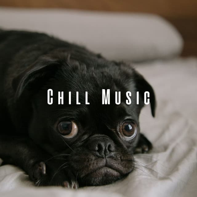 Chill Music: Dogs' Dreamtime Serenity - Chill Vibes