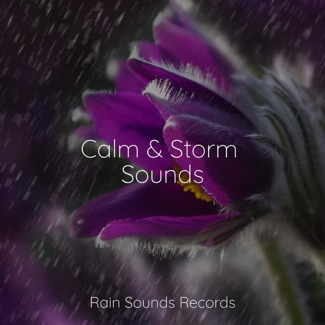 Calm & Storm Sounds - Lightning, Thunder and Rain Storm