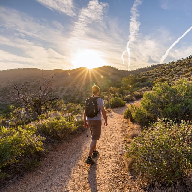 Orquesta De Relajación Pacífica: Música Para La Armonía - Bertie Lambert