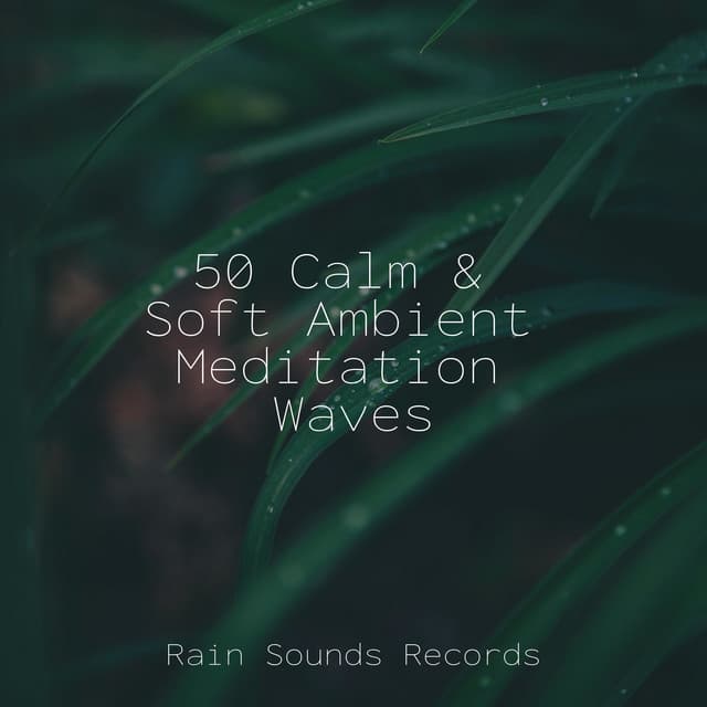 50 Calm & Soft Ambient Meditation Waves - Massage Therapy Music