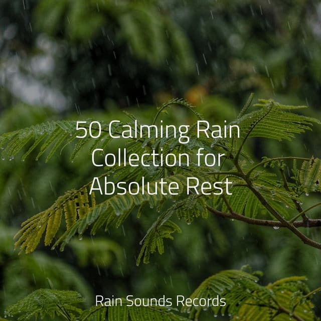 50 Calming Rain Collection for Absolute Rest - Sonidos De Truenos y Lluvia