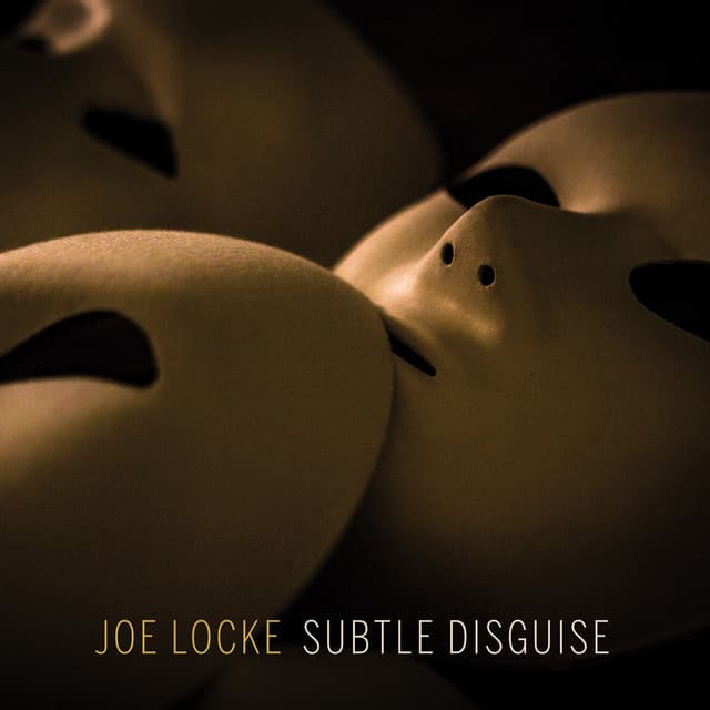 Subtle Disguise - Joe Locke