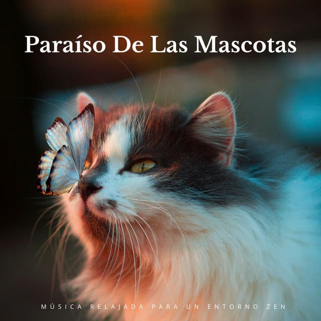 Paraíso De Las Mascotas: Música Relajada Para Un Entorno Zen - Tranquilidad Eterna