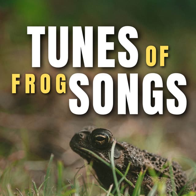 Tunes of Frog Songs - Frog Sounds