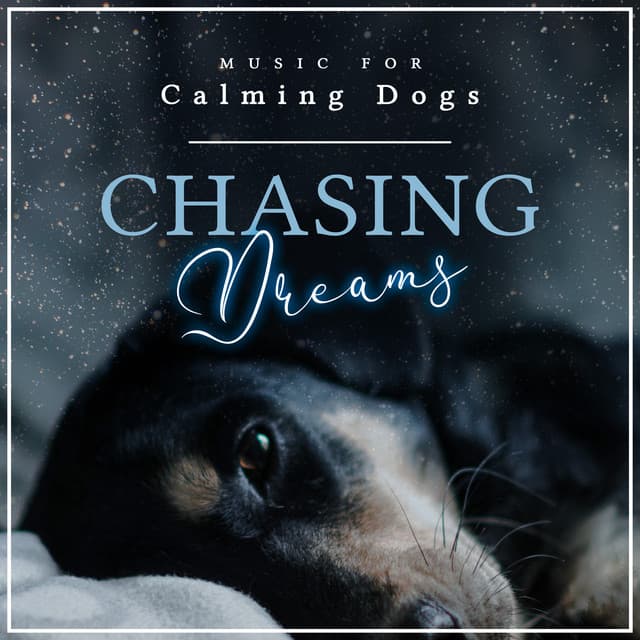 Chasing Dreams - Music for Calming Dogs