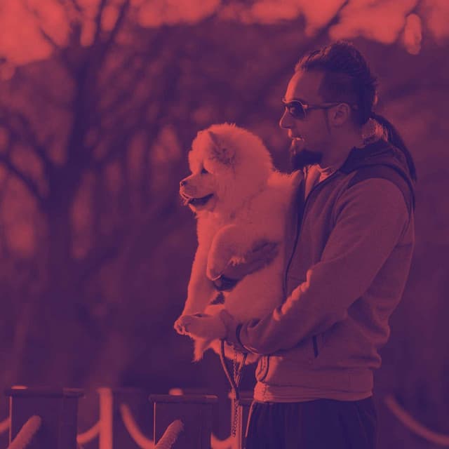 Guitar Jazz - Background for Roaring Pups - Doggy Relaxing Sounds