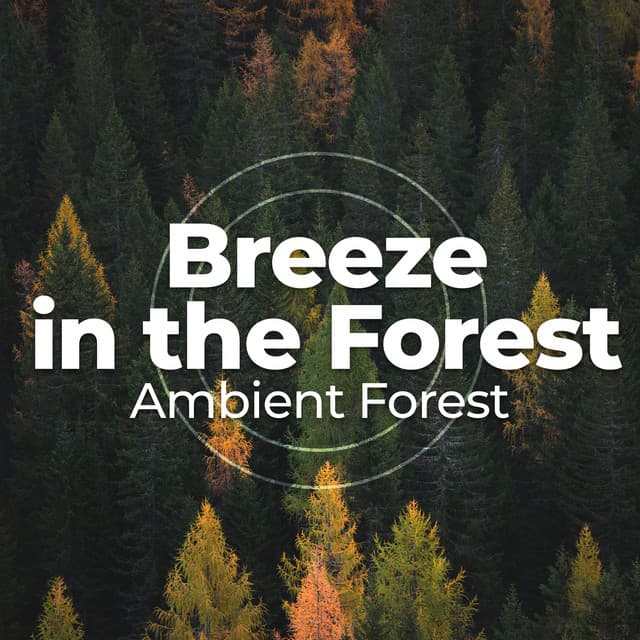 Breeze in the Forest - Ambient Forest