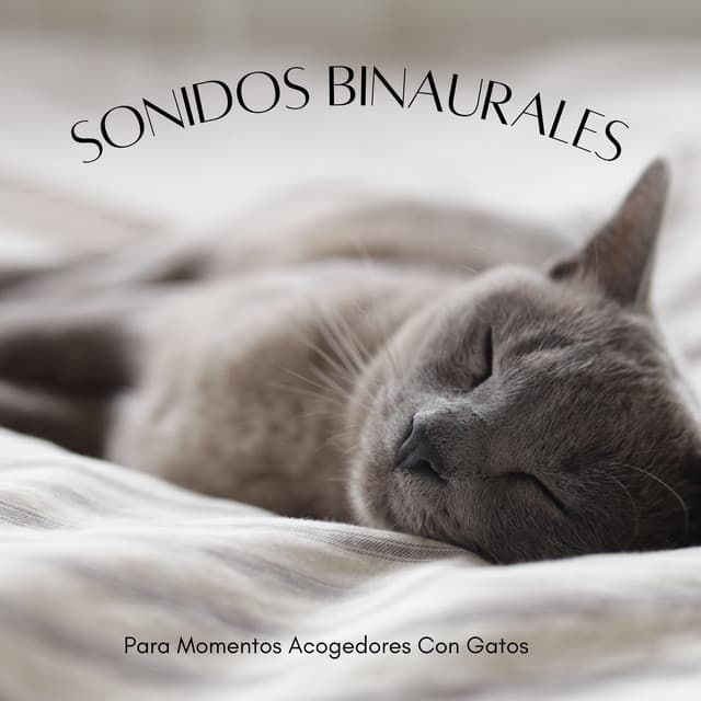 Sonidos Binaurales Para Momentos Acogedores Con Gatos - Chico binaural