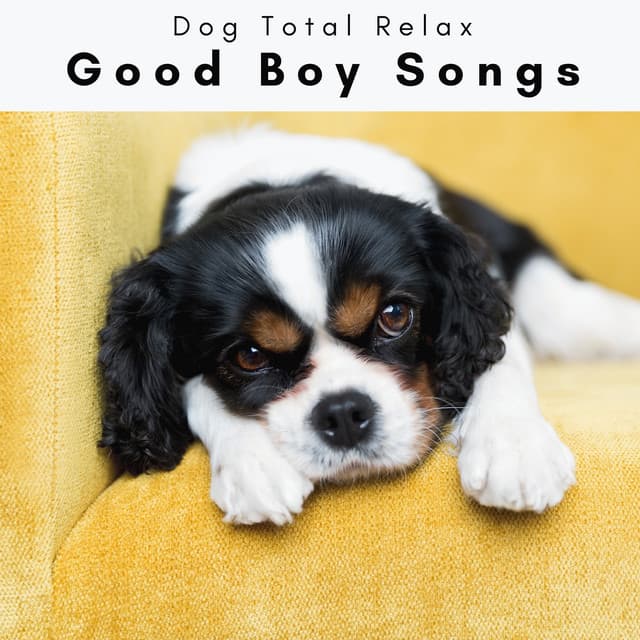 2 0 2 3 Good Boy Songs - Dog Total Relax