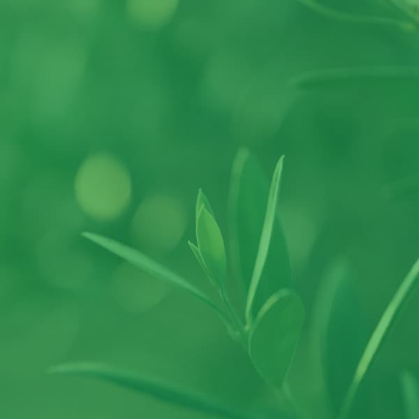 Music for Devoted Inspiration - Funky No Drums Jazz - Vintage Cafe Playlist