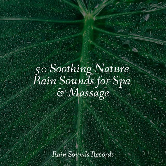 50 Soothing Nature Rain Sounds for Spa & Massage - Forest Sounds