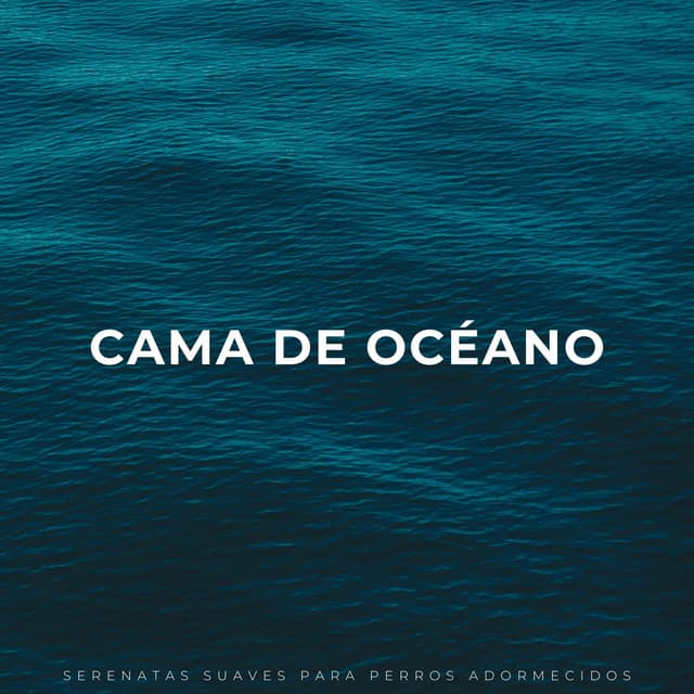 Sonidos de las olas del océano Pacífico