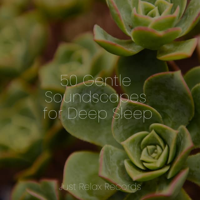 50 Gentle Soundscapes for Deep Sleep - Lucid Dreaming World-Collective Unconscious Mind