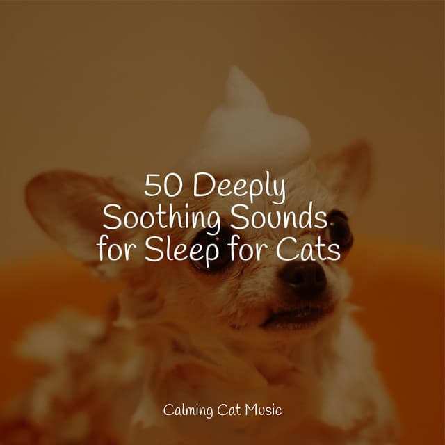 50 Deeply Soothing Sounds for Sleep for Cats - Cat Music Therapy
